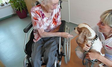 Der kleine "Vito" eroberte die Herzen im Sturm. Foto: Schilling
