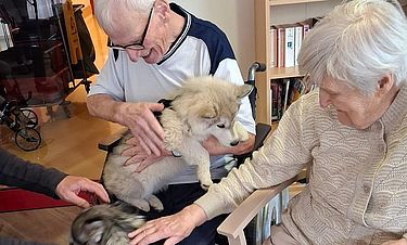 Jung trifft Alt: Welpenbesuch im Kursana Domizil Merseburg.